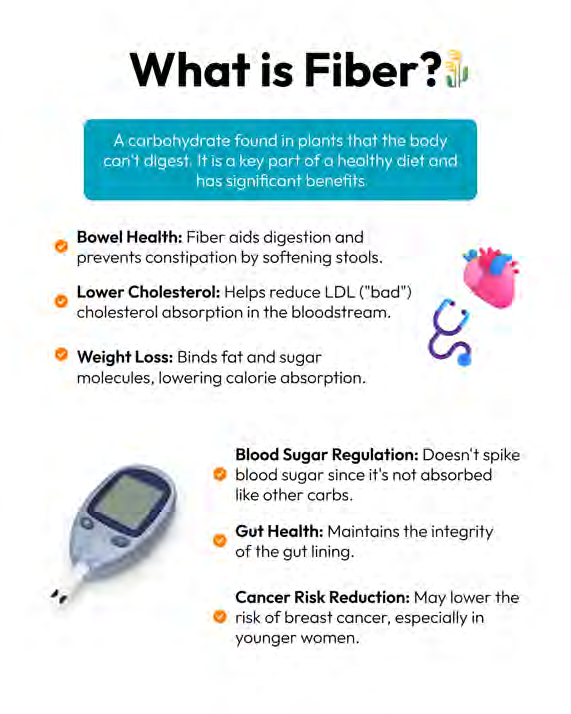 Instagram carousel example — slide 1: "What is Fiber?" informational graphic